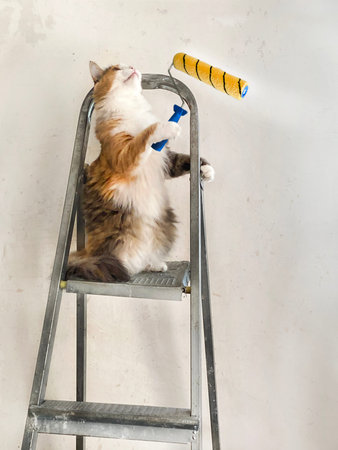 ?at helps to renovate the room. Funny cat with paint rollerの写真素材