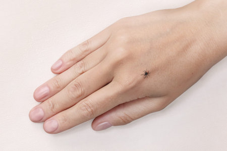 Dangerous tick on a woman hand, close up photo