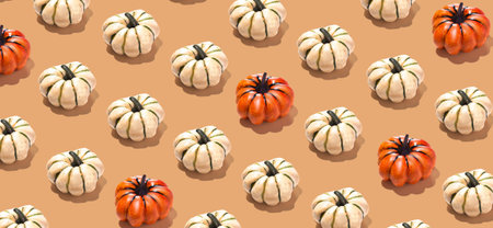 Orange and white pumpkins pattern long banner minimalの写真素材