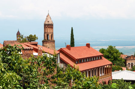 Panoramic view of the Alazani valley