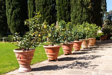 Chianti Region, Italy - April 20, 2018: The Castle of Verrazzano in Greve in Chianti, in the heart of the Chianti Classico area, between Florence and Siena. Italy.のeditorial素材