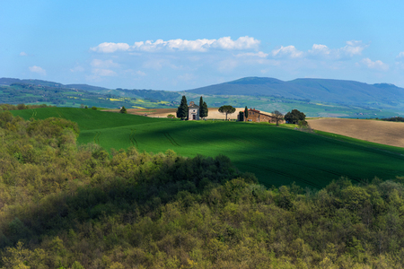Beautiful rural landscape, cypress trees, green field and blue sky in Tuscany near Pienza. Spring in Tuscany, Italyの写真素材