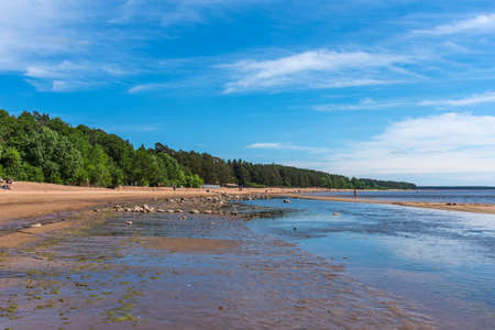 REPINO, RUSSIA - JUNE 20, 2020: The coast of the Gulf of Finland near Repino, Russia. Beautiful panoramic view of the beach Chudny in summer.のeditorial素材