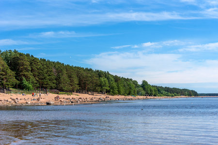 REPINO, RUSSIA - JUNE 20, 2020: The coast of the Gulf of Finland near Repino, Russia. Beautiful panoramic view of the beach Chudny in summer.のeditorial素材