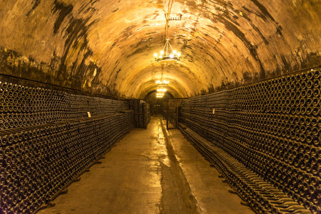 Abrau-Durso, Russia - March 2, 2021: Champagne and sparkling wine factory Abrau Durso in Russia....