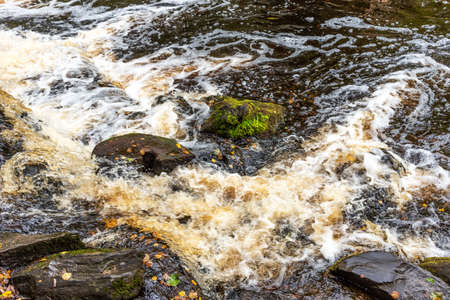 Picturesque autumn view of White Mosty waterfall in Karelia. Amazing landscape with forest waterfall in North of Karelia.の写真素材