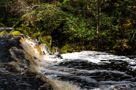 Picturesque autumn view of White Mosty waterfall in Karelia. Amazing landscape with forest waterfall in North of Karelia.の写真素材