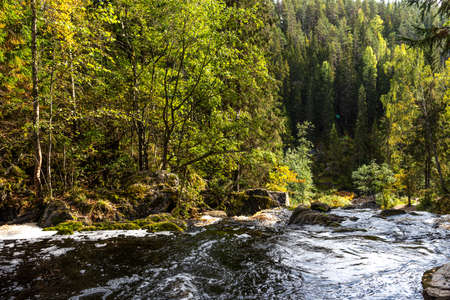 Picturesque autumn view of White Mosty waterfall in Karelia. Amazing landscape with forest waterfall in North of Karelia.の写真素材
