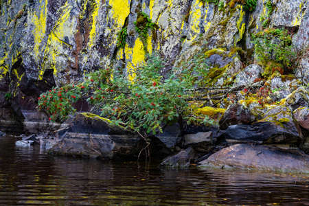 Ladoga Skerries National Park. Beautiful fall view on Lake Ladoga in Republic of Karelia, largest lake in Europe.の写真素材
