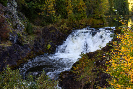 Picturesque Kivach waterfall in Karelia, Russia. Beautiful waterfall in forest.の写真素材