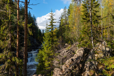 Picturesque Kivach waterfall in Karelia, Russia. Beautiful waterfall in forest.の写真素材
