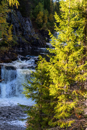 Picturesque Kivach waterfall in Karelia, Russia. Beautiful waterfall in forest.の写真素材