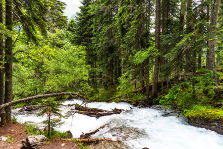 Beautiful waterfall in the forest on the Belaya River in the North Caucasus, Russia. Mountain...