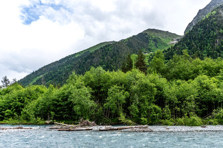 Beautiful landscape of a river with mountains in the background. Psysh River in the Caucasus Mountains.の写真素材
