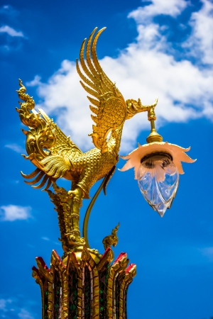 Beautiful birds in Thailand literature.の写真素材