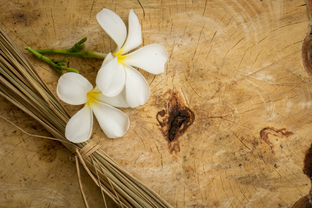 White plumeria classic brown wooden floor surface.の写真素材