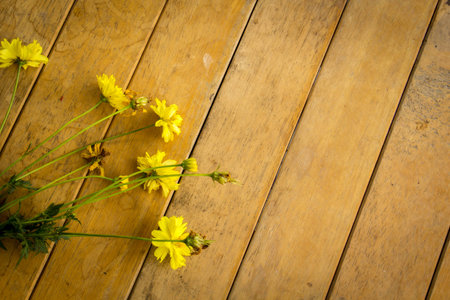 Yellow flowers, table, texture, background, old.の写真素材