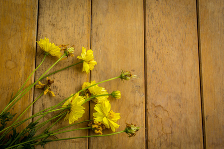 Yellow flowers, table, texture, background, old.の写真素材