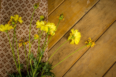 Yellow flowers, cotton, desktop, wrap, cotton, yellow.の写真素材