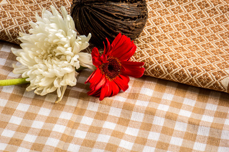 The beauty of colorful Gerbera summer, red, orange, white, green leaves.の写真素材
