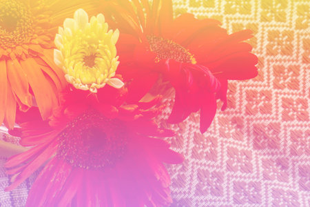 The beauty of colorful Gerbera summer, red, orange, white, green leaves.の写真素材