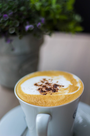 cappuccino in a white cupの写真素材