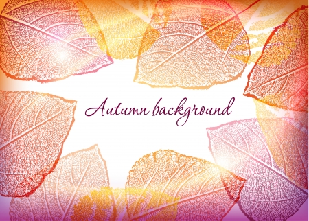 autumn leafs backgroundのイラスト素材