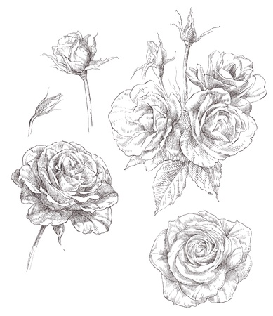 Flowersのイラスト素材