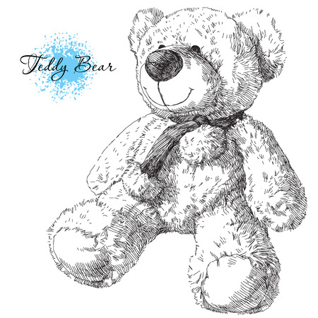 Beauty hand drawn teddy bear on whiteのイラスト素材