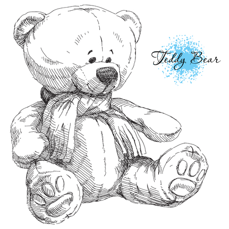Beauty hand drawn teddy bear on whiteのイラスト素材