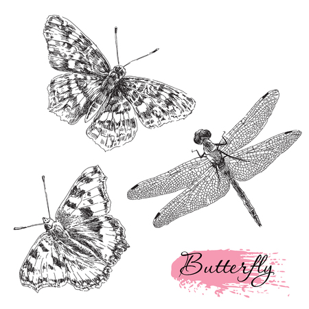 Beauty vector set of hand drawn butterfly and dragonflyのイラスト素材