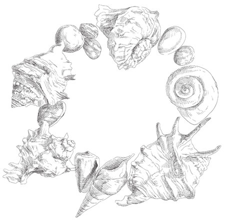 Summer beauty seashells frame background. Vector illustration.のイラスト素材