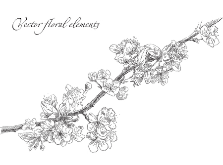 Beauty hand drawn illustration with flowers. Vector.のイラスト素材