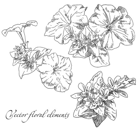 Beauty hand drawn illustration with flowers . Vector illustration.のイラスト素材