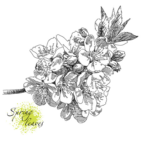 illustration with flowers.のイラスト素材