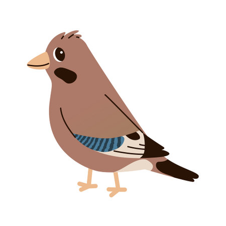 Isolated cute funny bird jay in flat vector style on white background. woodland life. forest animal.のイラスト素材