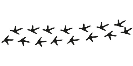 Grouse paws. Animal foot traces. Grouse black footprints on white background. Flat vector illustration. Design for print, decoration, children's educational bookのイラスト素材