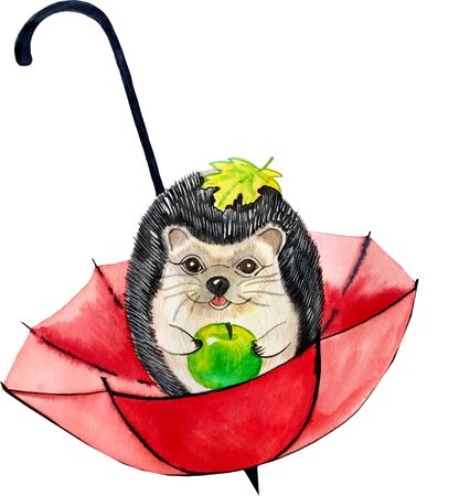 watercolor illustration. the hedgehog and the umbrellaの写真素材