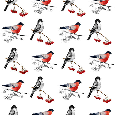 seamless pattern bullfinch on a branch2の写真素材