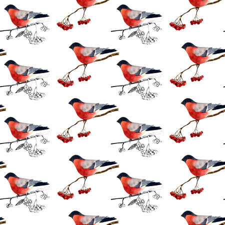seamless pattern. bullfinch on a branch of mountain ash.の写真素材