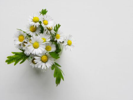 bouquet of daisies on a white backgroundの写真素材