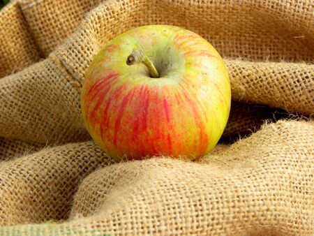 ripe red-yellow apple lies on a linen bagの写真素材