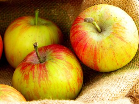 three ripe red and yellow applesの写真素材