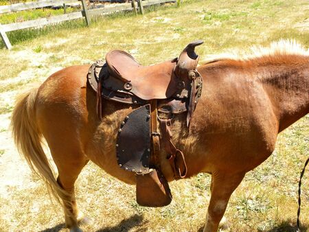 Old brown leather saddle for riding. Riding equipment.の写真素材