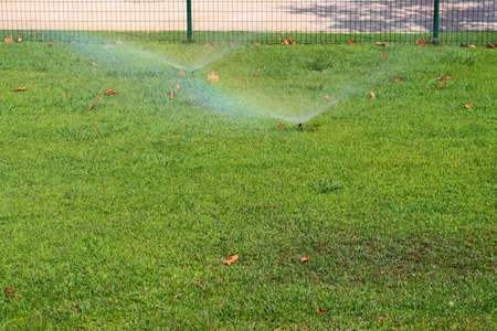 Sprinkler irrigation system watering lawn in garden. Automatic watering of lawns.の写真素材