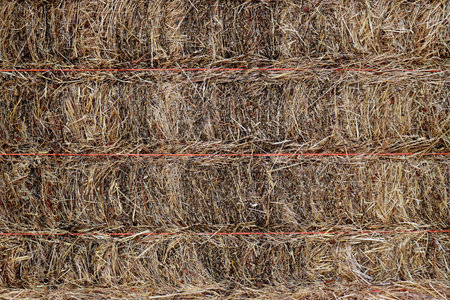 Dry straw closeup for background and Textured.