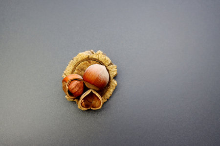 Peeled hazelnuts and shells on a wooden stand on a gray background