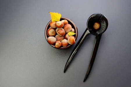 Hazelnuts in a clay round bowl and a black nutcracker on a gray backgroundの写真素材
