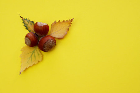 Hazelnuts and autumn leaves on a yellow background.