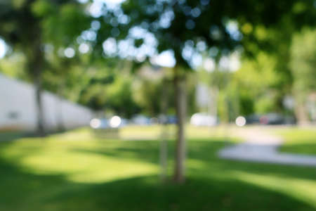 Natural bokeh outdoors in green and white tones with sun rays. Blurred background of green city park.の写真素材